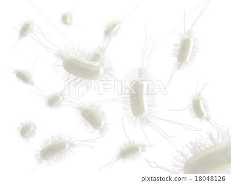E. coli planar distribution (white back) 18048126