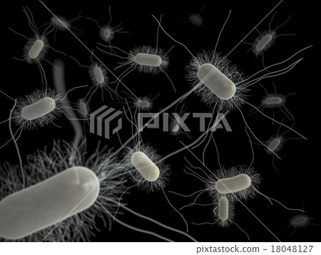 大腸桿菌空間分佈（黑背） 18048127