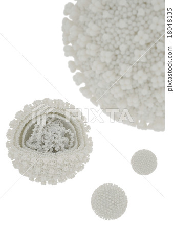 流感病毒(白背) 流感病毒(白背) 18048135