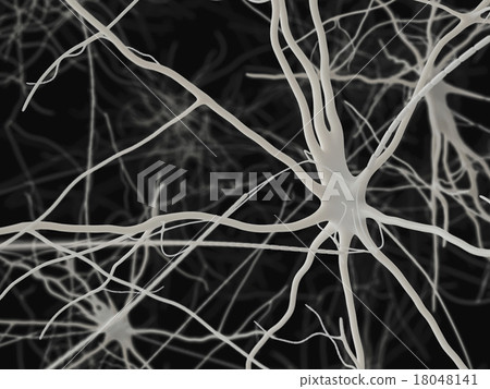 神經元(黑背) 神經元(黑背) 18048141
