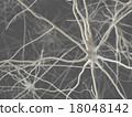Neurons (gray back) 18048142