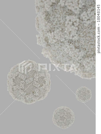 諾如病毒(灰背) 諾如病毒(灰背) 18048145