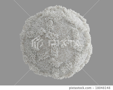 單獨的諾龍病毒(灰背) 單獨的諾龍病毒(灰背) 18048148