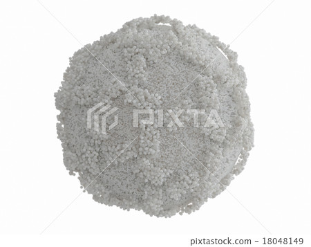 Noronavirus simplex(白背) Noronavirus simplex(白背) 18048149