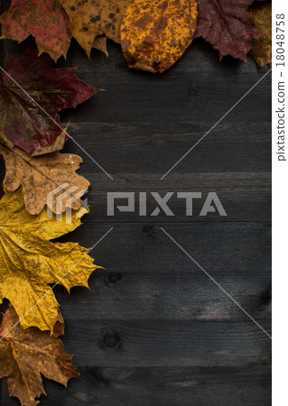 Wood autumn background Wood autumn background 18048758