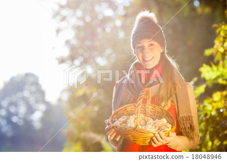 Woman with basket full of champignons in forest Woman with basket full of champignons in forest 18048946