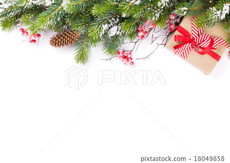 Christmas tree branch with gift box Christmas tree branch with gift box 18049858