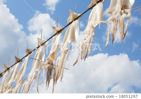 佐賀縣的Yogo怎麼樣？如果 18051297