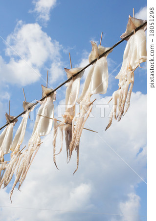 佐賀縣的Yogo怎麼樣？如果 18051298