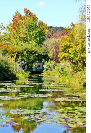 Monet's garden 18052145