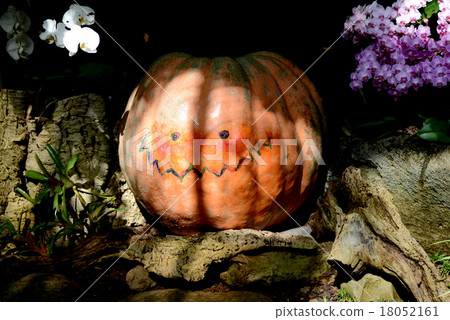 萬聖節南瓜 18052161