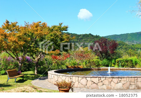 莫奈的花園 莫奈的花園 18052375