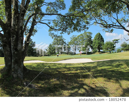 Green Green 18052478