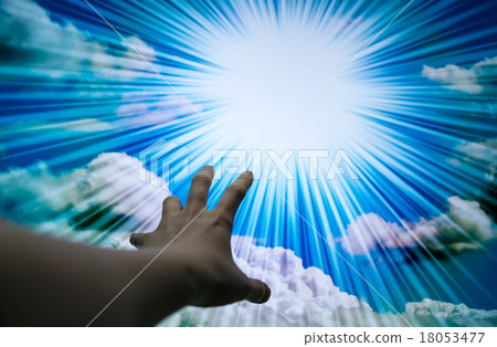 神聖的血統 神聖的血統 18053477