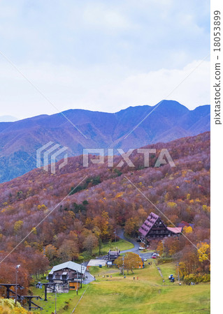 Yamagata Zao·Chuo Takahara步行小徑的秋葉 Yamagata Zao·Chuo Takahara步行小徑的秋葉 18053899