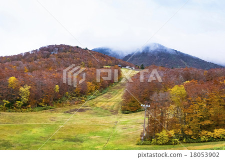 Yamagata Zao·Chuo Takahara步行小徑的秋葉 18053902
