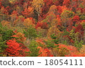 Autumn leaves 18054111