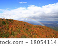 Autumn leaves and rainbow 18054114