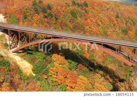 Autumn leaves and bridge 18054115