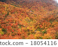 Autumn leaves 18054116