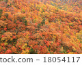 Autumn leaves 18054117