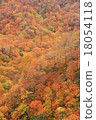 Autumn leaves 18054118