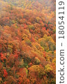 Autumn leaves 18054119