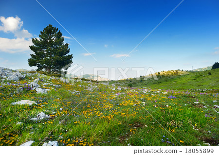 Beautiful view of Campo Imperatore plateau Beautiful view of Campo Imperatore plateau 18055899