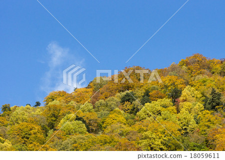 Mountain _ 4 18059611