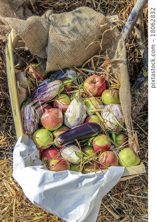 Vegetables and fruits in a basket Vegetables and fruits in a basket 18062832