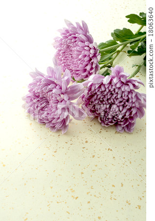 Kazuhana Kazuhana 18063640