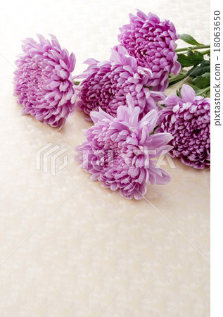 Kazuhana Kazuhana 18063650