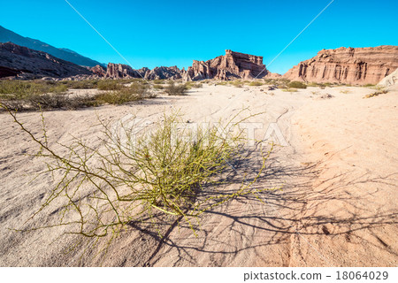 Quebrada de Cafayate, Salta, Argentina 18064029