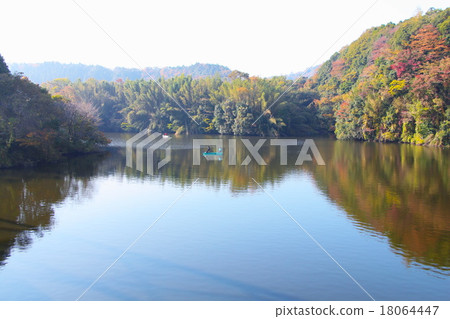 Autumn leaves of Kameyama lake (Chiba) 18064447