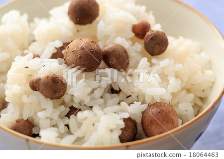 Mushroad rice 18064463