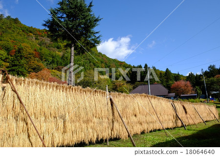 The future of agriculture 18064640