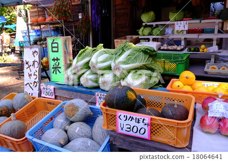 Fall of Harvest Fall of Harvest 18064641