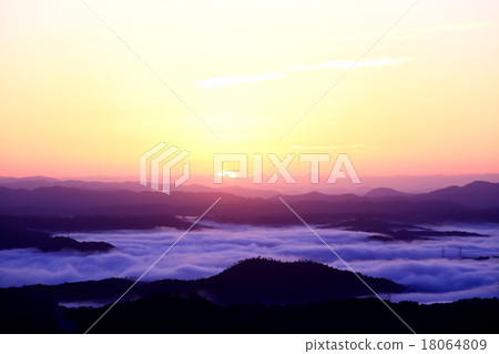 雲海7142  -  18064809