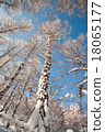 Snow mountain Snow mountain 18065177