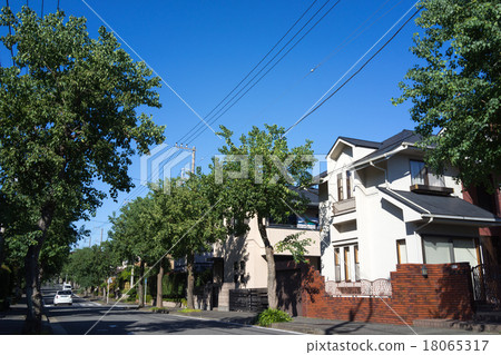 Residential area with street trees 3 18065317