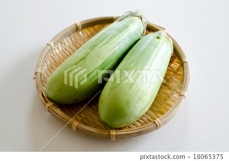 茄子條紋 18065375