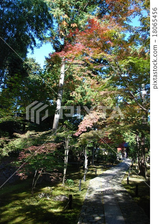 Kao's garden (Sagaokitabori-cho, Kamigyo-ku, Kyoto City) 18065456