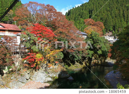 Autumn Leaves Mitarai Valley Nara Prefecture 18065459