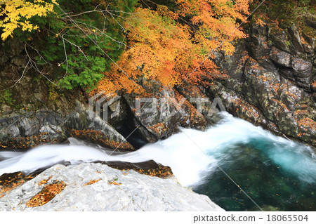 Autumn Leaves Mitarai Valley Nara Prefecture 18065504