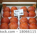 Euro persimmon 18066115