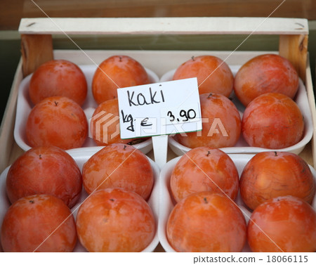 Euro persimmon Euro persimmon 18066115