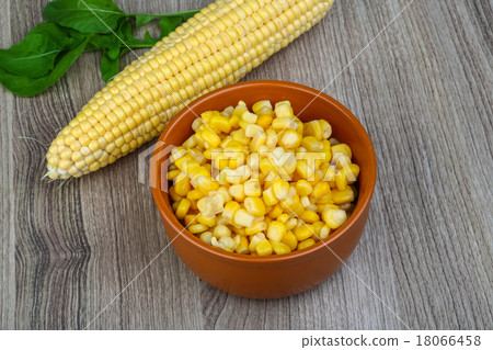 Sweet corn Sweet corn 18066458