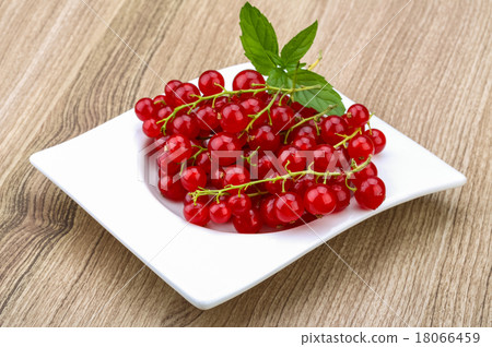 Red currants Red currants 18066459