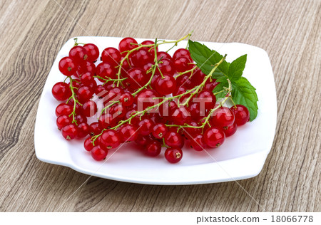 Red currants Red currants 18066778