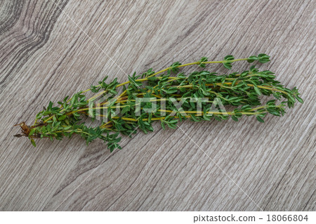 Thyme branch Thyme branch 18066804